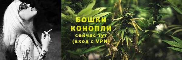 тгк Новозыбков