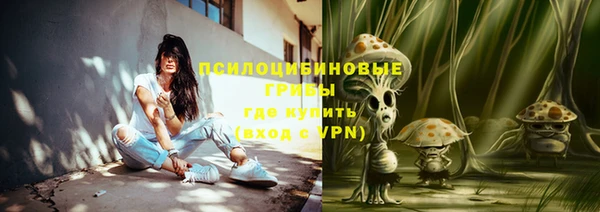 спайс Чегем