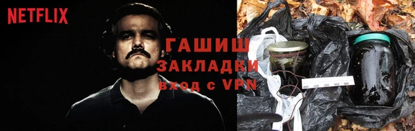 тгк Новозыбков