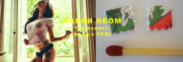 тгк Новозыбков