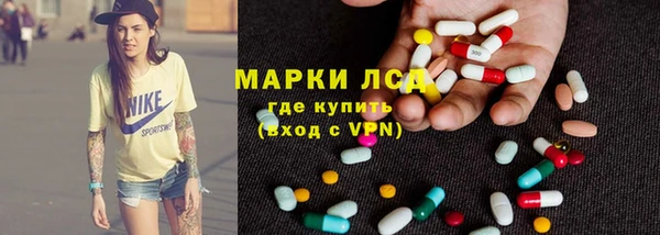 тгк Новозыбков