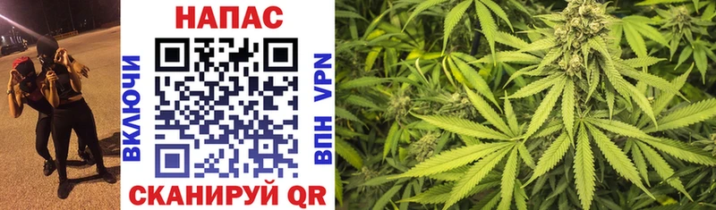 как найти мега ONION Марихуана THC 21% Отрадная